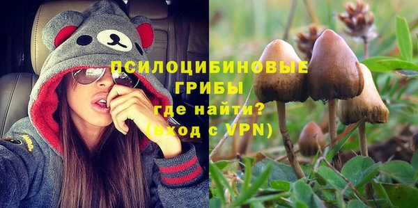 прущие грибы Алексеевка