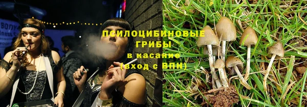 прущие грибы Алексеевка