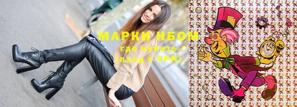 прущие грибы Алексеевка