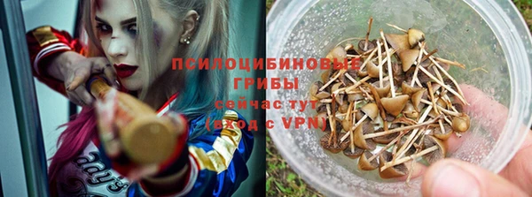 прущие грибы Алексеевка