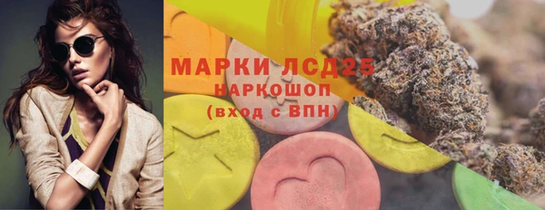 прущие грибы Алексеевка